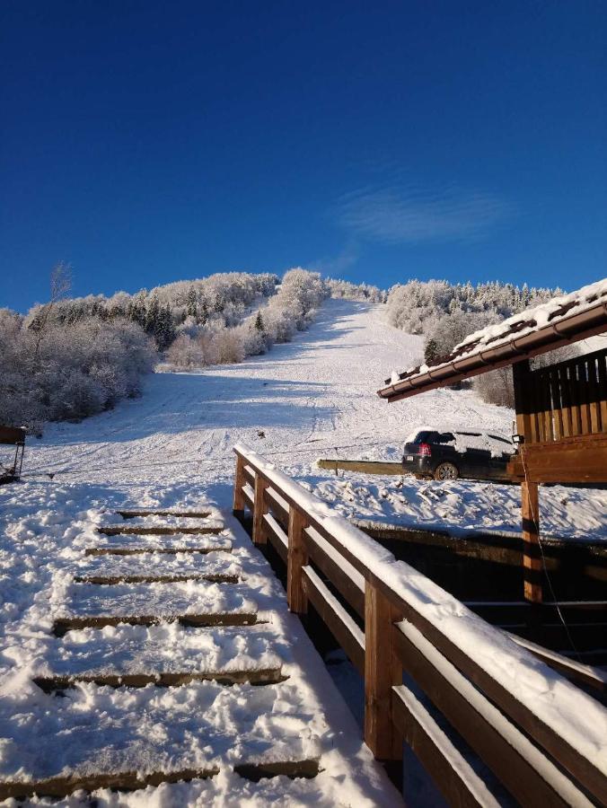 Cottage Kurshevel Slavske Εξωτερικό φωτογραφία